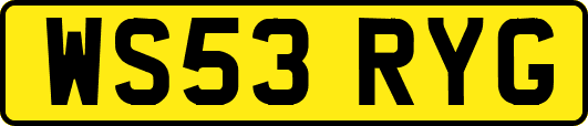 WS53RYG