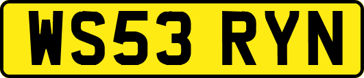 WS53RYN