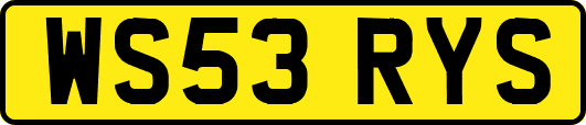 WS53RYS