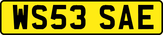 WS53SAE
