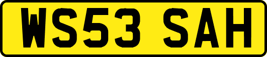 WS53SAH