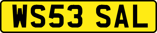 WS53SAL