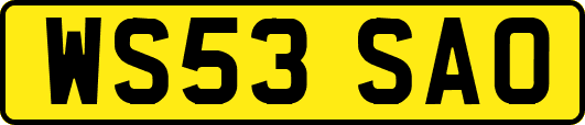 WS53SAO
