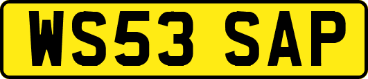 WS53SAP
