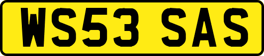 WS53SAS