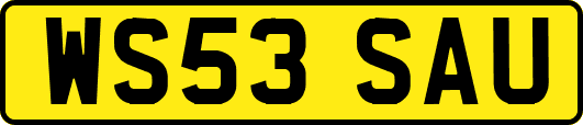 WS53SAU