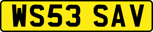 WS53SAV