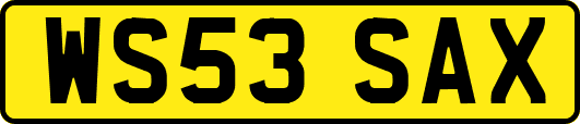 WS53SAX