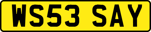 WS53SAY
