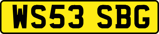 WS53SBG