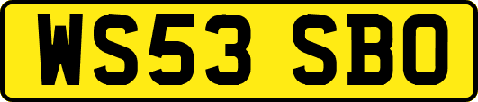 WS53SBO