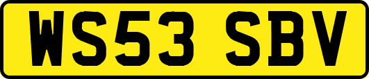 WS53SBV
