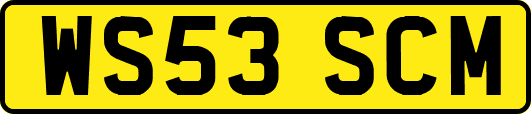 WS53SCM