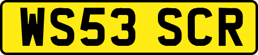 WS53SCR