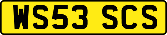 WS53SCS