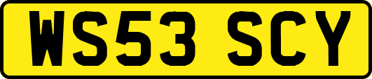 WS53SCY