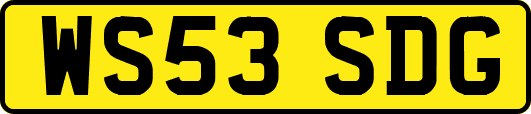WS53SDG