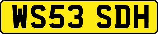 WS53SDH
