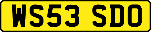 WS53SDO