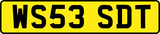 WS53SDT