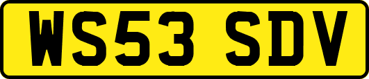 WS53SDV