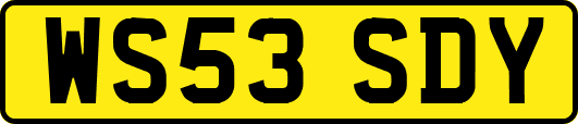 WS53SDY