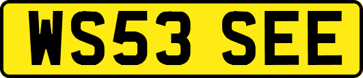 WS53SEE
