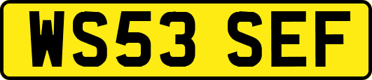WS53SEF