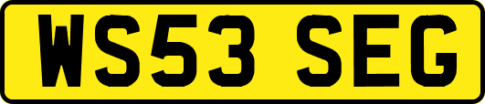 WS53SEG