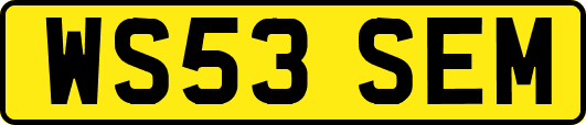 WS53SEM