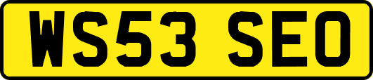 WS53SEO