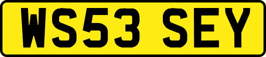 WS53SEY