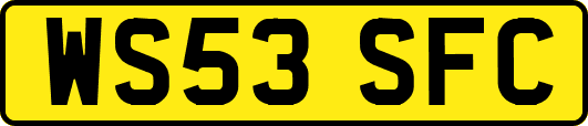WS53SFC