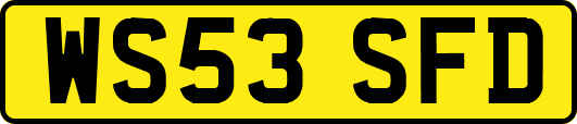 WS53SFD