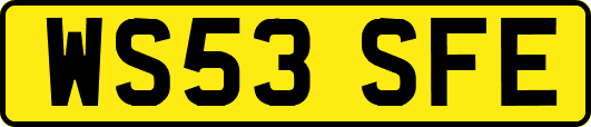 WS53SFE