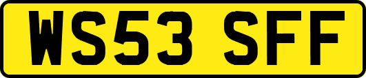 WS53SFF