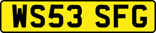 WS53SFG