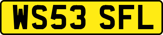 WS53SFL