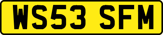 WS53SFM