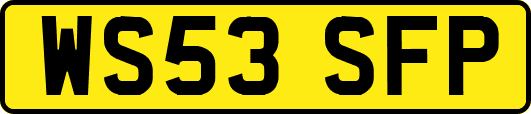 WS53SFP