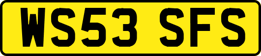 WS53SFS