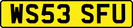 WS53SFU