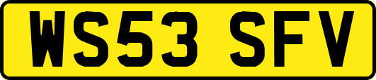 WS53SFV