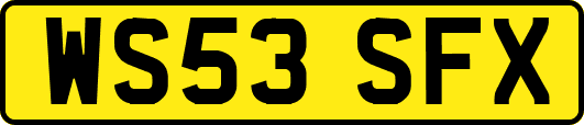 WS53SFX