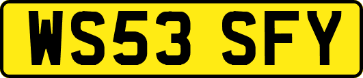 WS53SFY