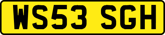 WS53SGH