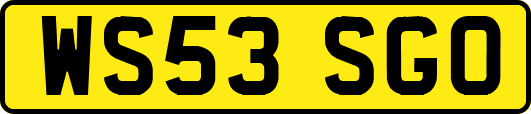WS53SGO