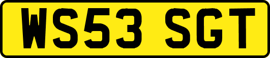 WS53SGT