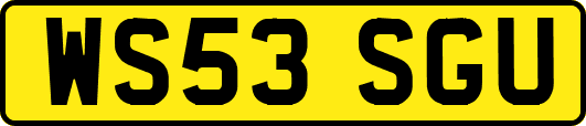 WS53SGU