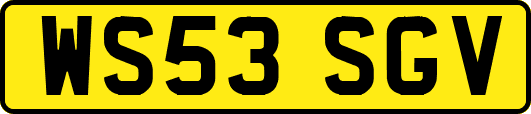 WS53SGV
